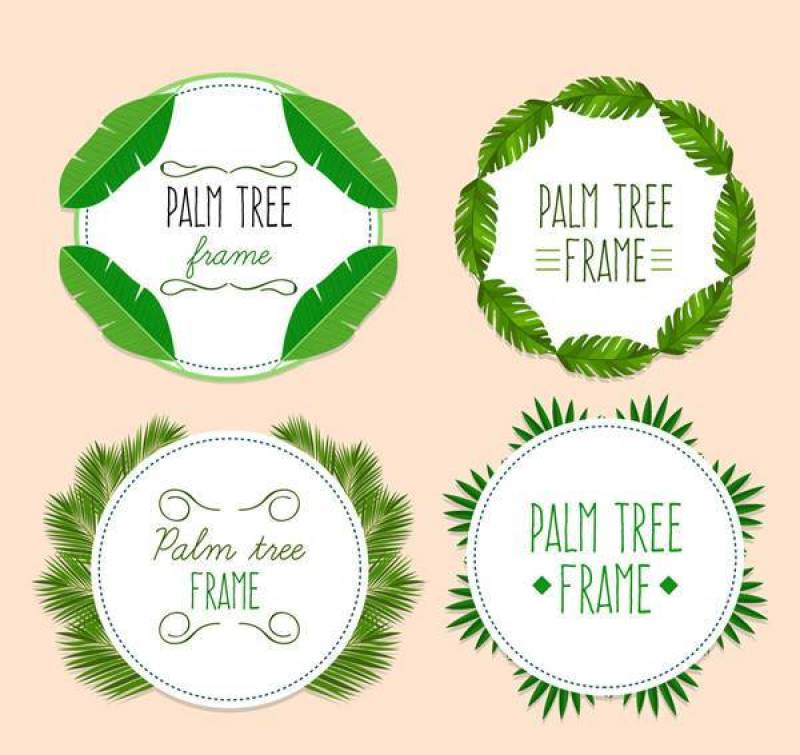 棕榈树叶框架