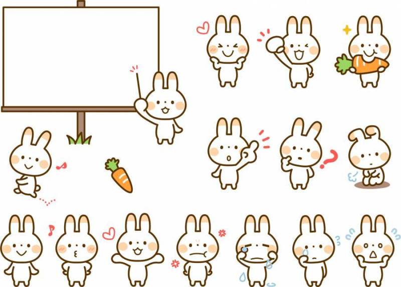 各种兔子的姿势