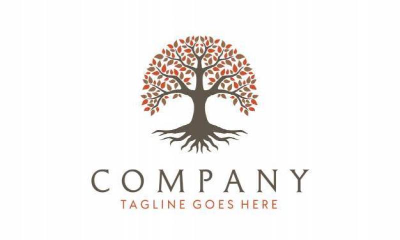 生命之树标志灵感