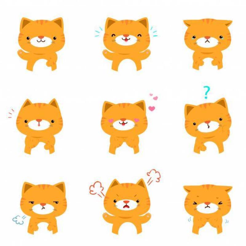 Set of cat face expression cartoon vector.
