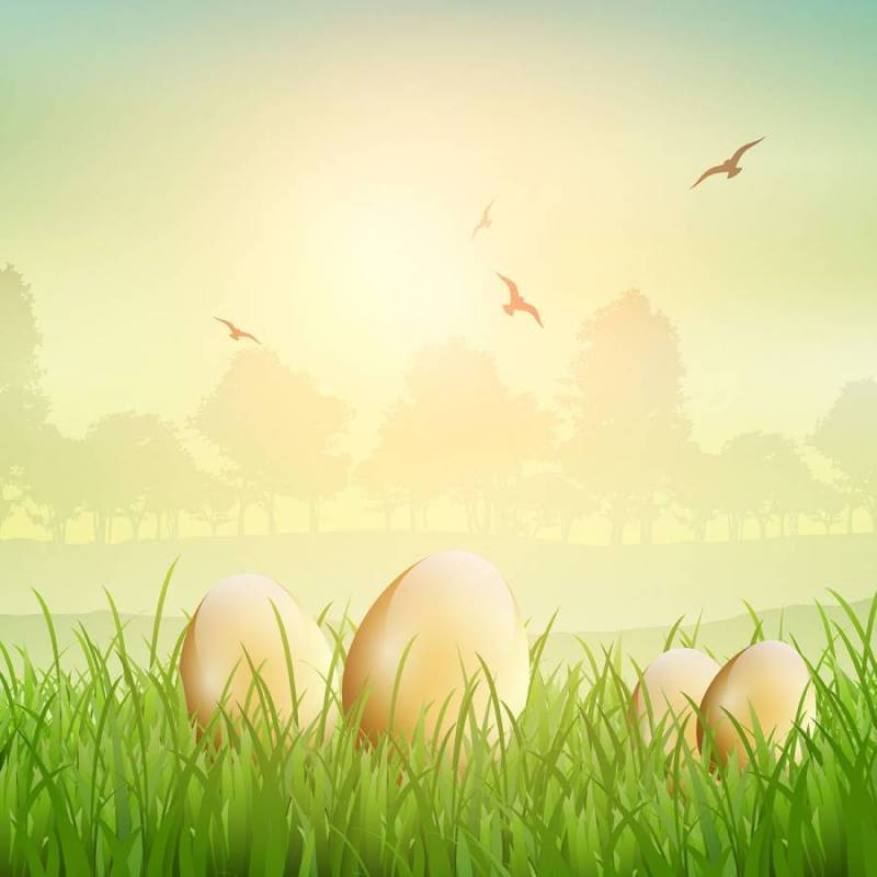 在草的复活节彩蛋