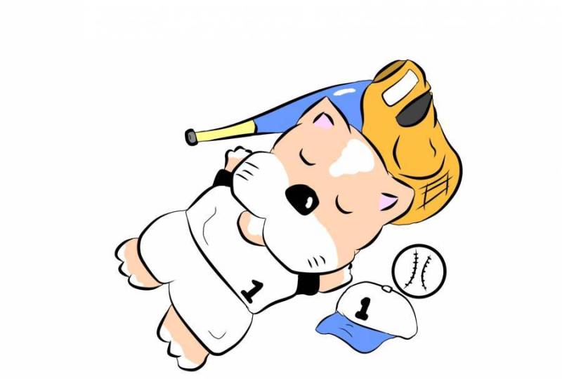 棒球狗悠闲