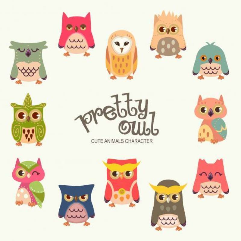 Pretty Owl Characters