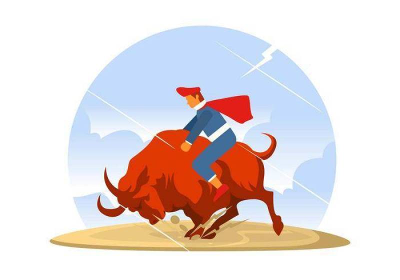 公牛传染媒介的征服者