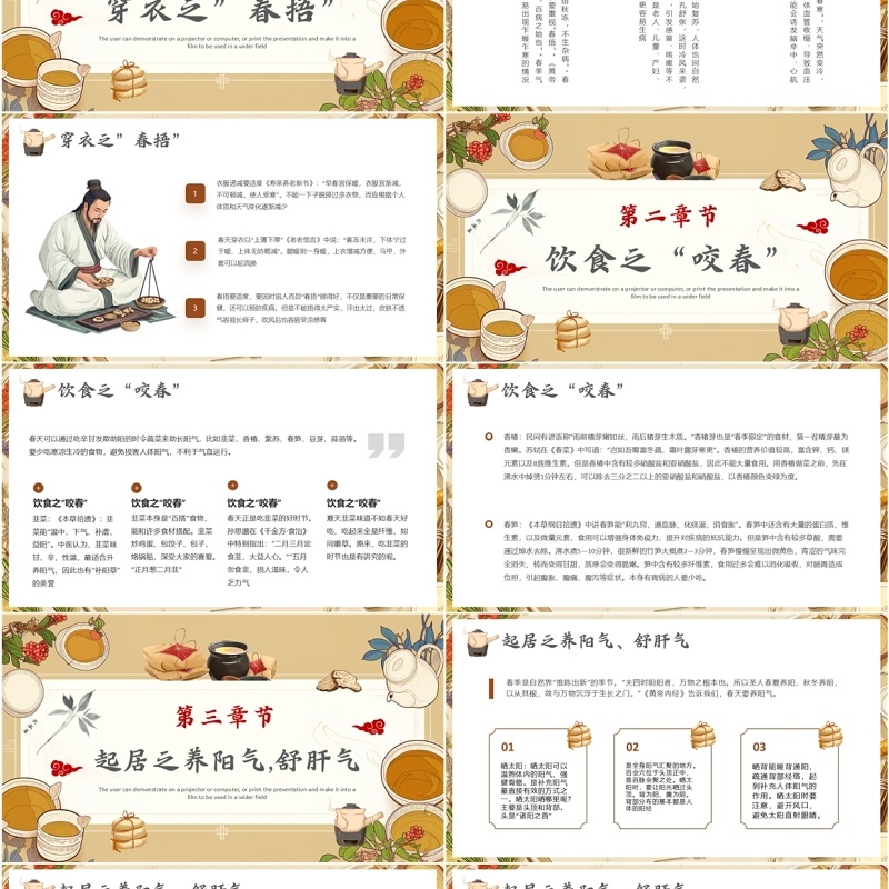 棕色中国风春季中医养生知识PPT模板