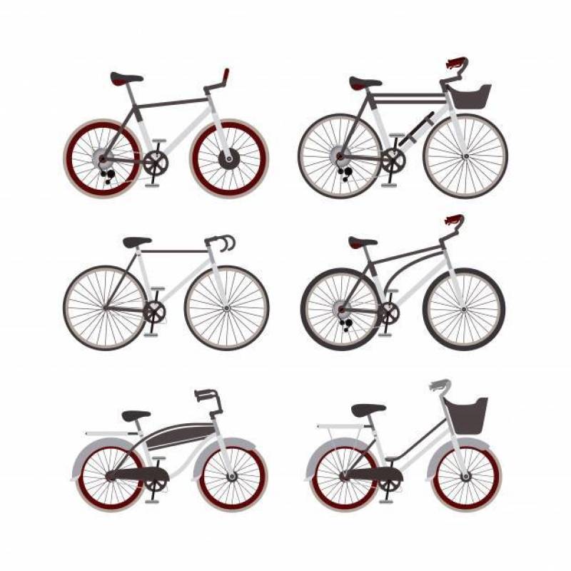 Bicycle styles set isolated icon design