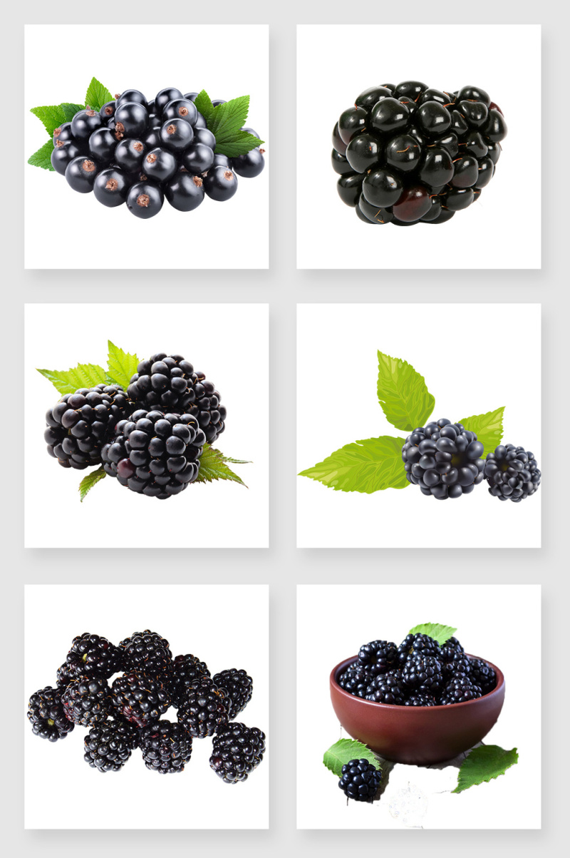 产品实物黑莓设计素材