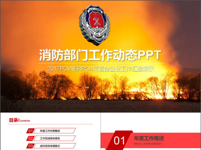 2017年政府消防部门工作汇报PPT模板