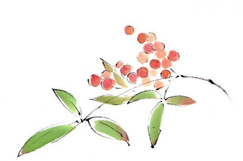 南天“手写素材”