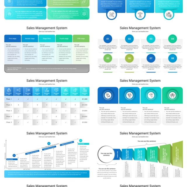 销售管理系统信息图PPT模板Sales Management System