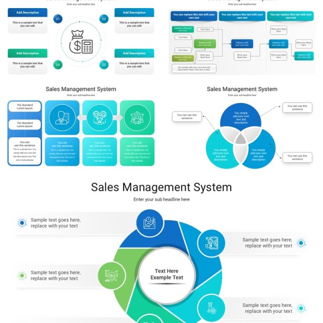 销售管理系统信息图PPT模板Sales Management System