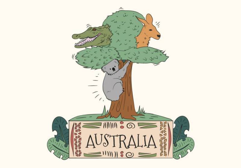 树矢量中的澳大利亚可爱野生动物