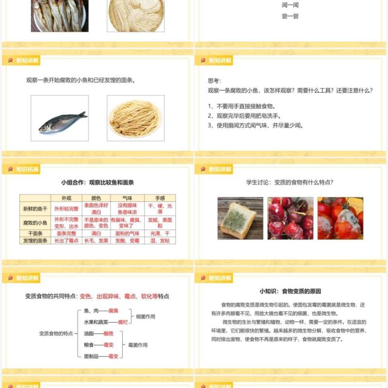 教科版四年级下册减慢食物变质的速度课件PPT模板