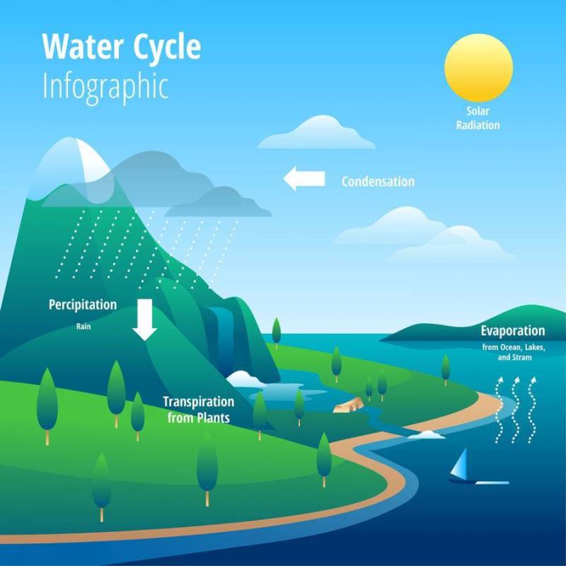 水循环的信息图表