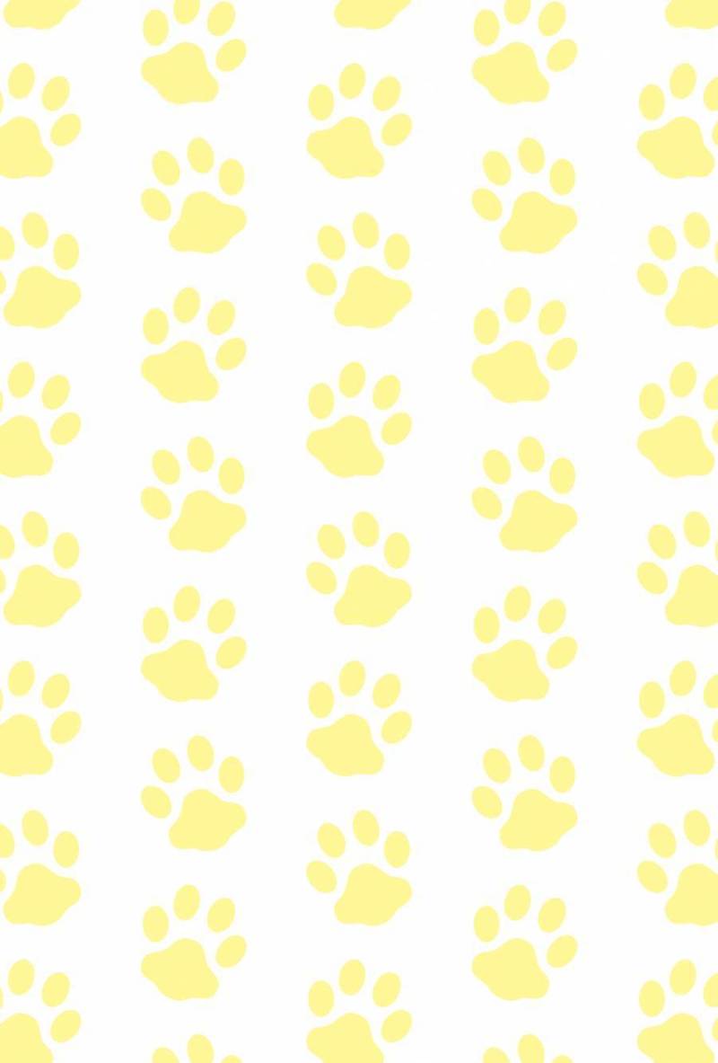 狗_阿什塔_图案_背景_黄色