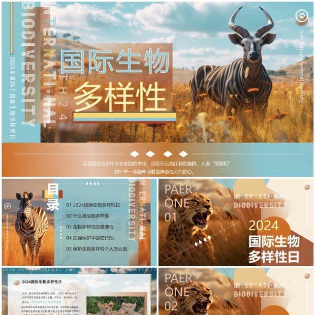 蓝棕色插画风国际生物多样性PPT模板 蓝棕色插画风国际生物多样性PPT模板