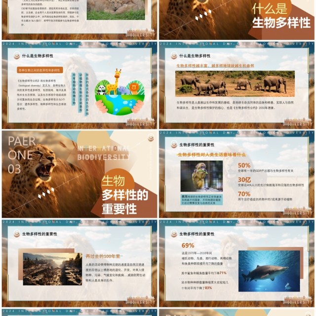 蓝棕色插画风国际生物多样性PPT模板 蓝棕色插画风国际生物多样性PPT模板