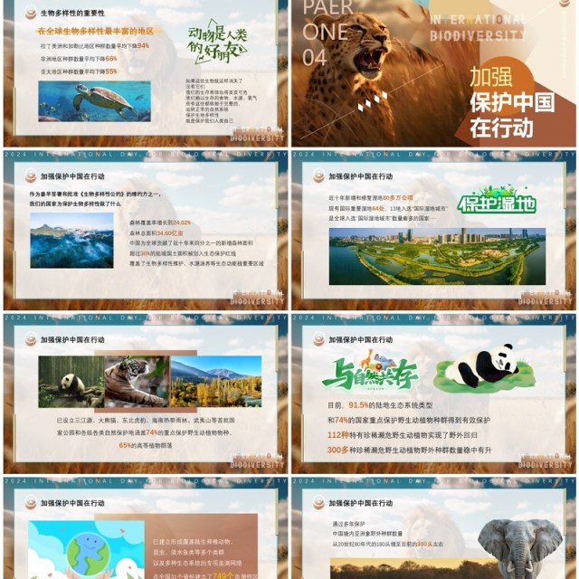 蓝棕色插画风国际生物多样性PPT模板 蓝棕色插画风国际生物多样性PPT模板