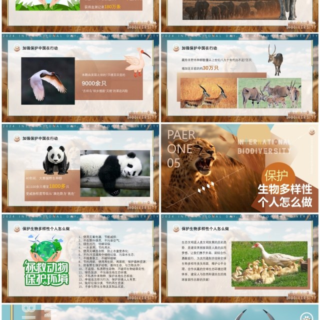 蓝棕色插画风国际生物多样性PPT模板 蓝棕色插画风国际生物多样性PPT模板