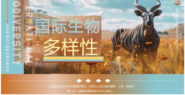 蓝棕色插画风国际生物多样性PPT模板 蓝棕色插画风国际生物多样性PPT模板
