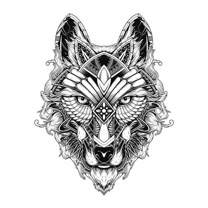 Wolf illustration, tattoo and tshirt design