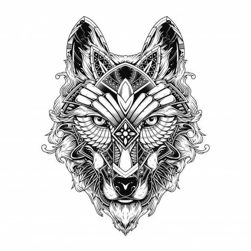 Wolf illustration, tattoo and tshirt design