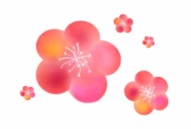 蓬松的梅花