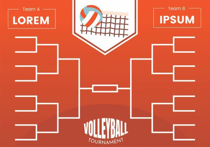 排球锦标赛支架海报