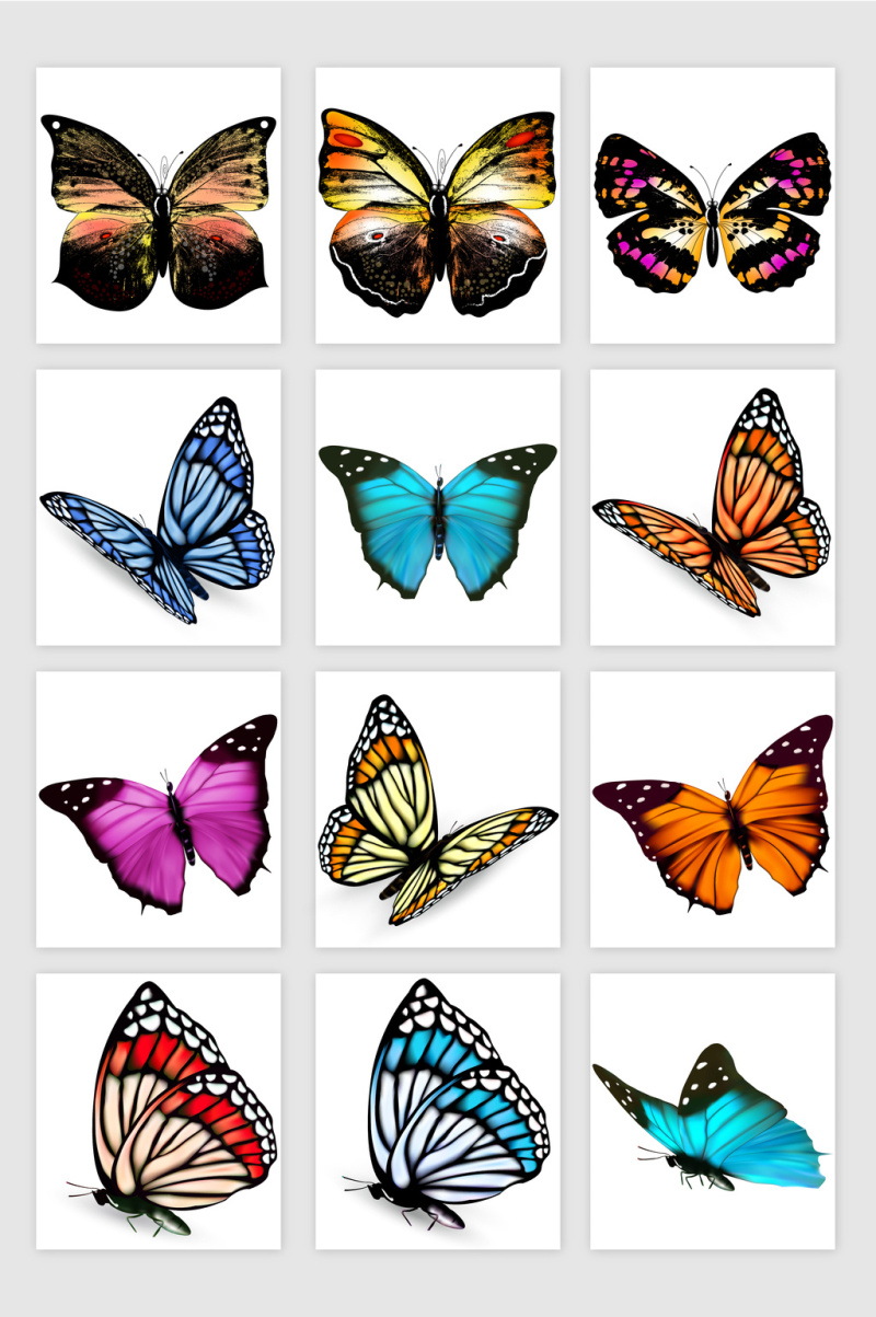 美丽的蝴蝶矢量素材