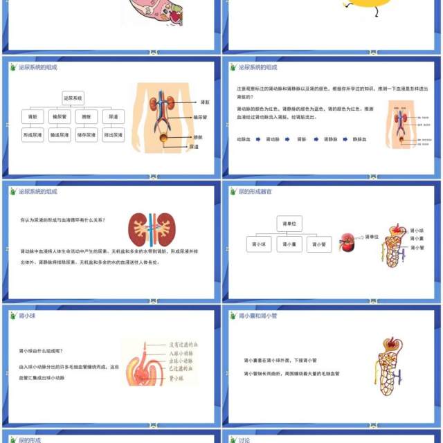 部编版七年级生物下册第五单元人体内废物的排出课件PPT模板