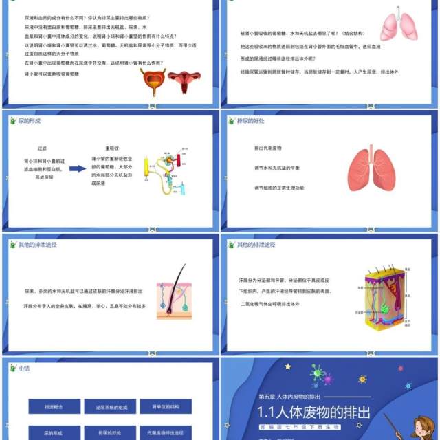 部编版七年级生物下册第五单元人体内废物的排出课件PPT模板