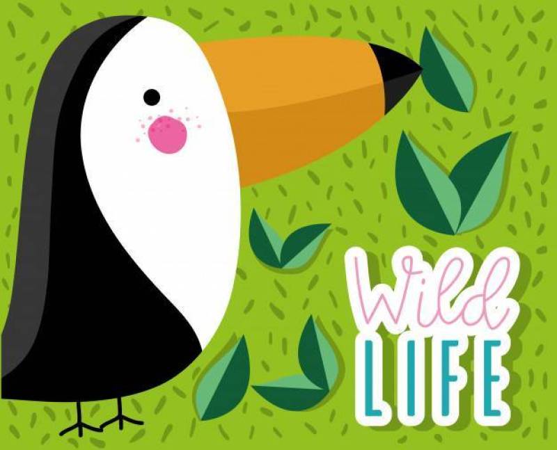 Cute tucan wildlife animal bird