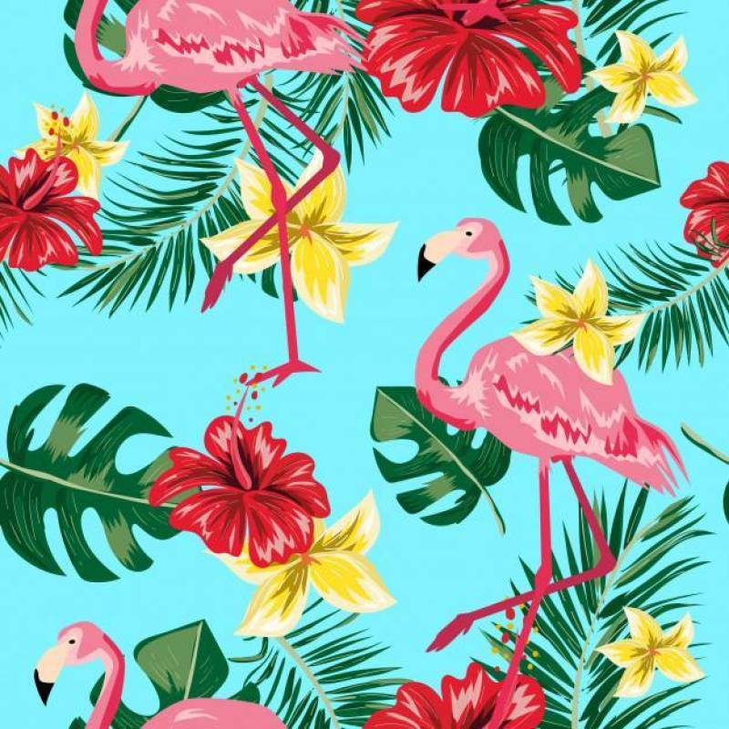 热带叶子花和火鸟的无缝的样式。