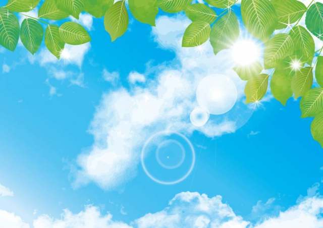 蓝蓝的天空新鲜绿色年轻叶子天空纹理背景材料壁纸图片