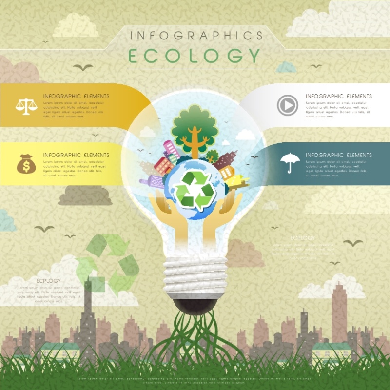 生态信息图模板406