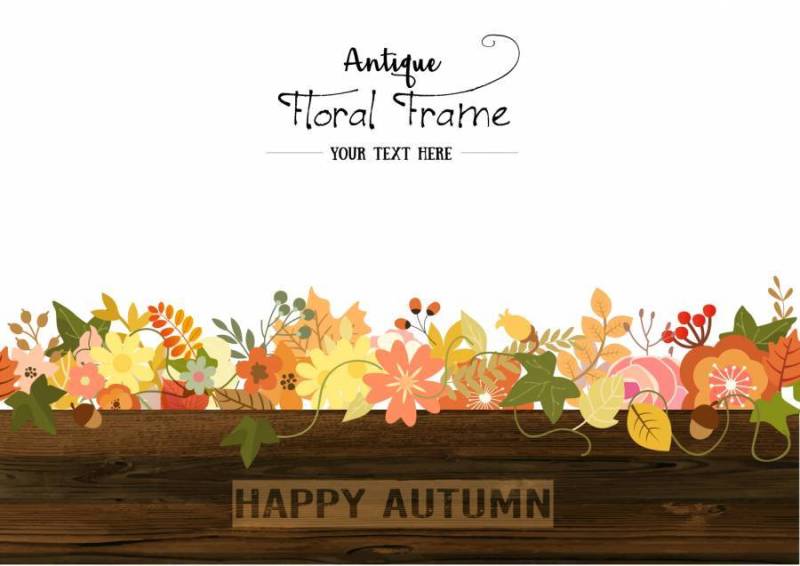 可能在秋季使用的背景材料05