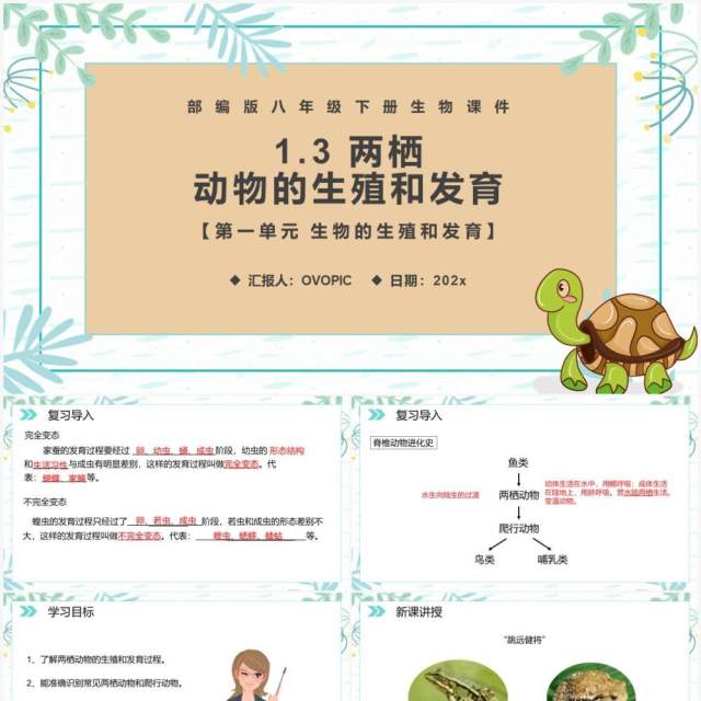 部编版八年级生物下册两栖动物的生殖和发育课件PPT模板