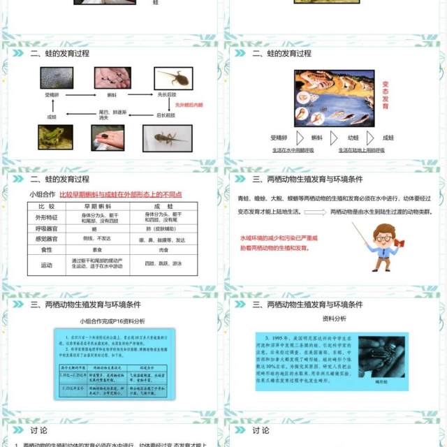 部编版八年级生物下册两栖动物的生殖和发育课件PPT模板