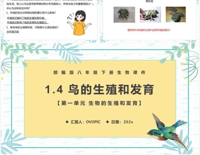 部编版八年级生物下册两栖动物的生殖和发育课件PPT模板