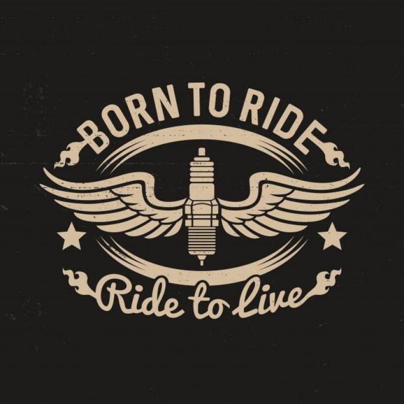 带翅膀的火花塞