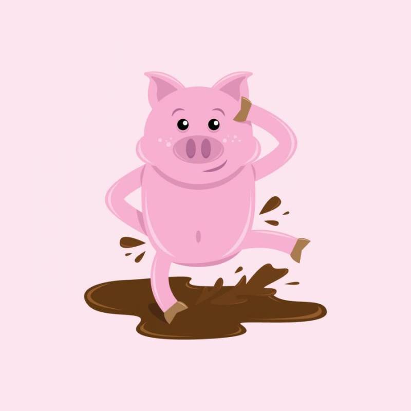 可爱的小动物猪插画矢量