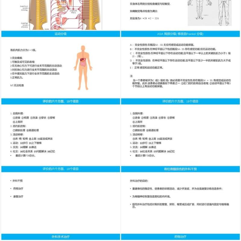 蓝色脊柱脊髓损伤的临床康复PPT模板