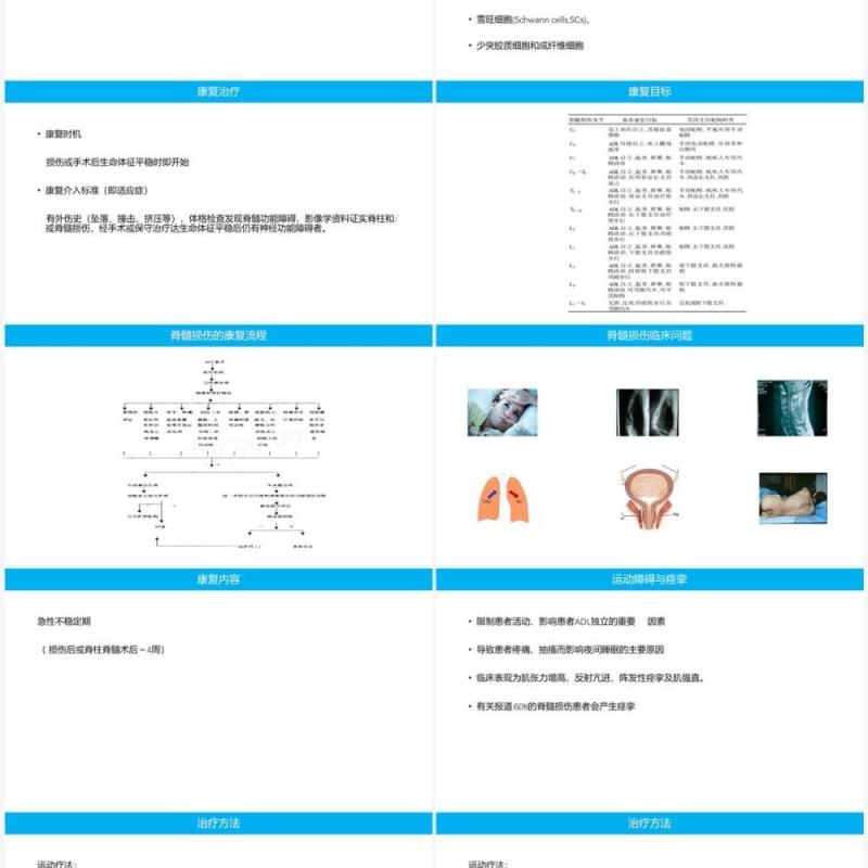蓝色脊柱脊髓损伤的临床康复PPT模板