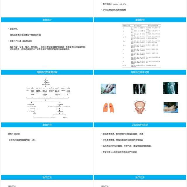 蓝色脊柱脊髓损伤的临床康复PPT模板