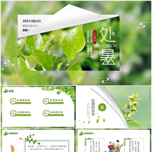 绿色小清新中国传统节日二十四节气处暑节日介绍PPT模板 绿色小清新中国传统节日二十四节气处暑节日介绍PPT模板