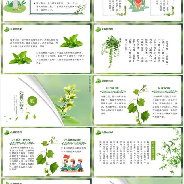 绿色小清新中国传统节日二十四节气处暑节日介绍PPT模板 绿色小清新中国传统节日二十四节气处暑节日介绍PPT模板