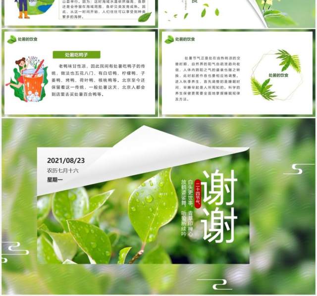 绿色小清新中国传统节日二十四节气处暑节日介绍PPT模板 绿色小清新中国传统节日二十四节气处暑节日介绍PPT模板
