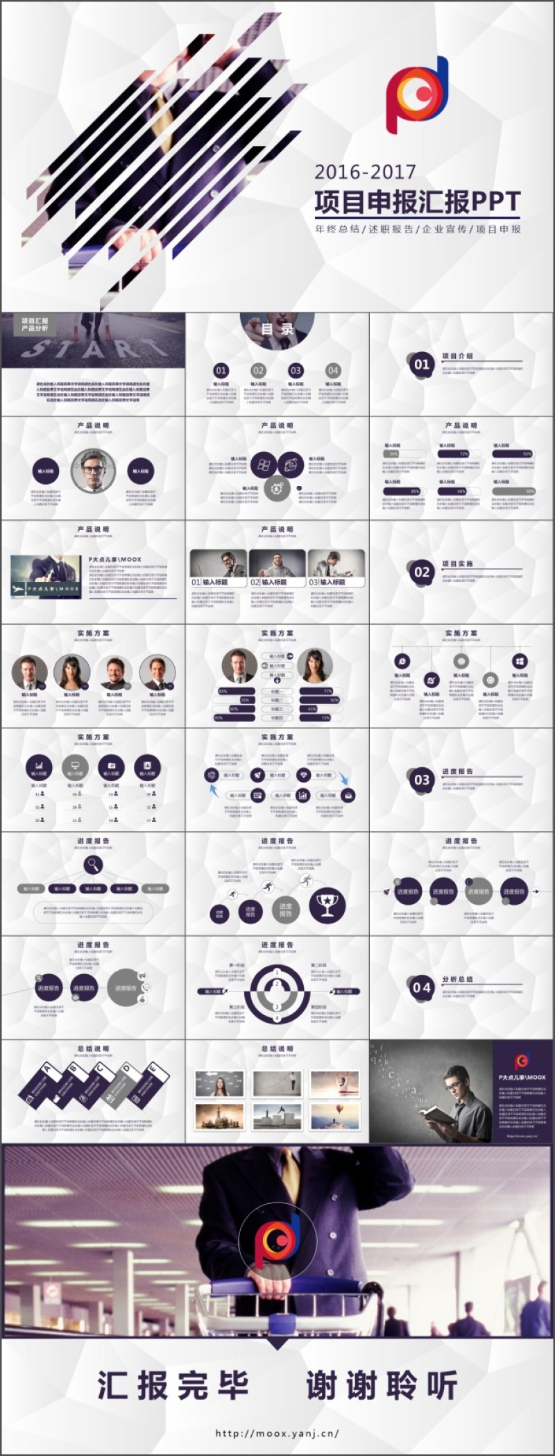 2017年项目申报汇报PPT