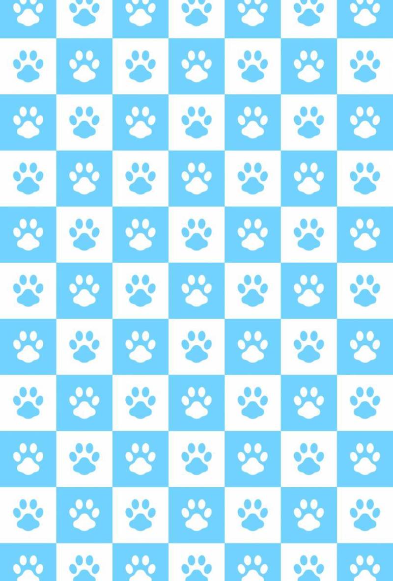 检查模式_狗ashashi _淡蓝色