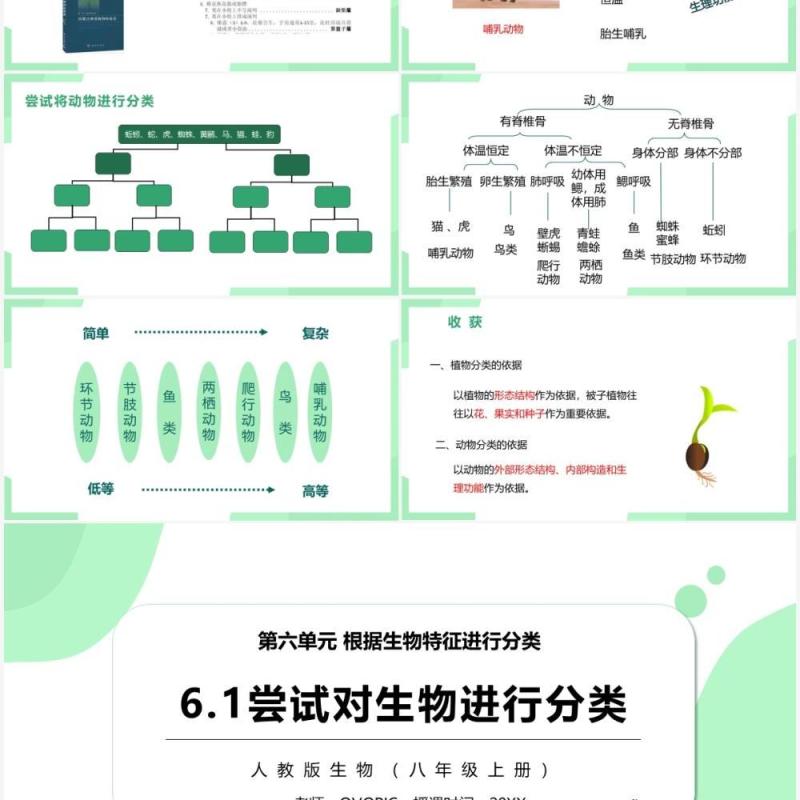 部编版八年级生物上册尝试第六单元对生物进行分类PPT模板